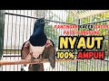 TERAPI MENTAL KACER ANDA AGAR  CEPAT KONSLET !! PANCINGAN KACER GACOR TERAMPUH