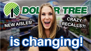 22 *NEW* Dollar Tree gems you didn't know existed!