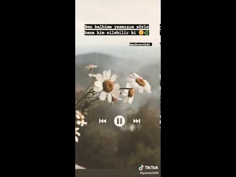 dağlara adını yazmak teffruhat ben kalbime yazmışım söyle bana kim şile bilirki
