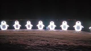 Goebberts Light Show 2020