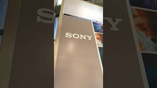 Visited Sony Hq In San Diego