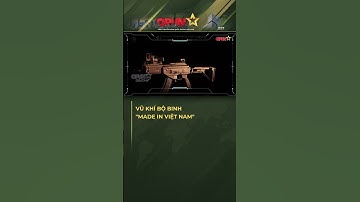 Vũ Khí Bộ Binh “Made in Việt Nam”: Bước Tiến Tự Chủ Quốc Phòng!