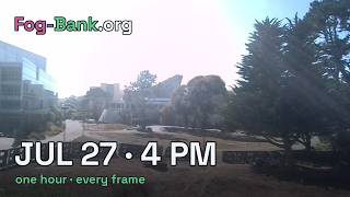 FogCam · July 27, 2026 · 4 pm PT · one hour, every frame
