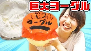 【大量】巨大ヨーグル作ってみた！