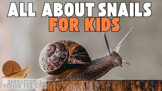 🐌 All About Snails for Kids 🌿 | Learn Fun Facts About Snails, Their Shells, and How They Move!