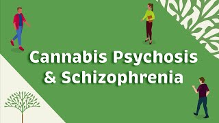 The Cannabis Psychosis Schizophrenia Connection