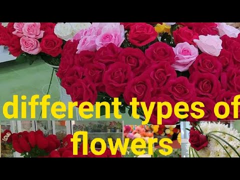 Different types of flowers - YouTube