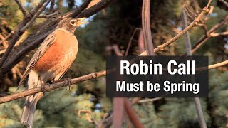 Robin Call - Must be Spring