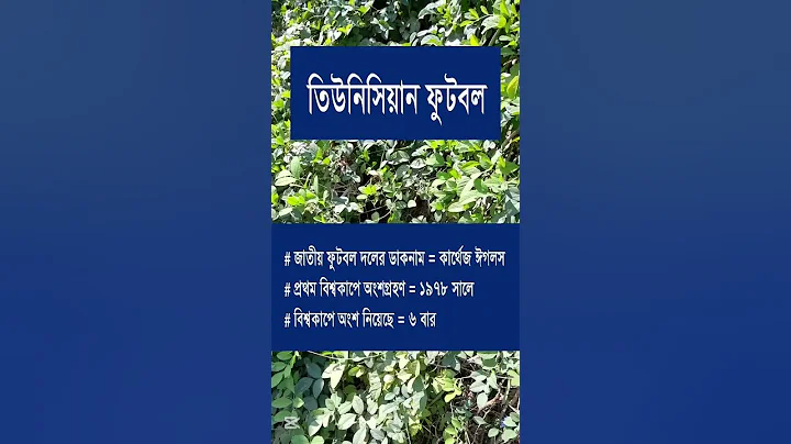 Tunisian Football | African Football | Africans Eagles | Intelligence Facts