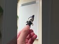 Today I 3D Printed these Tiny Snoopy Flexis! #shorts