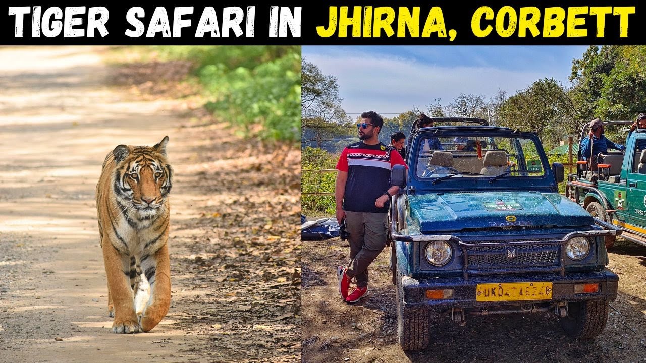 jhirna safari zone review