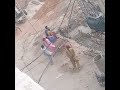 JCB day off