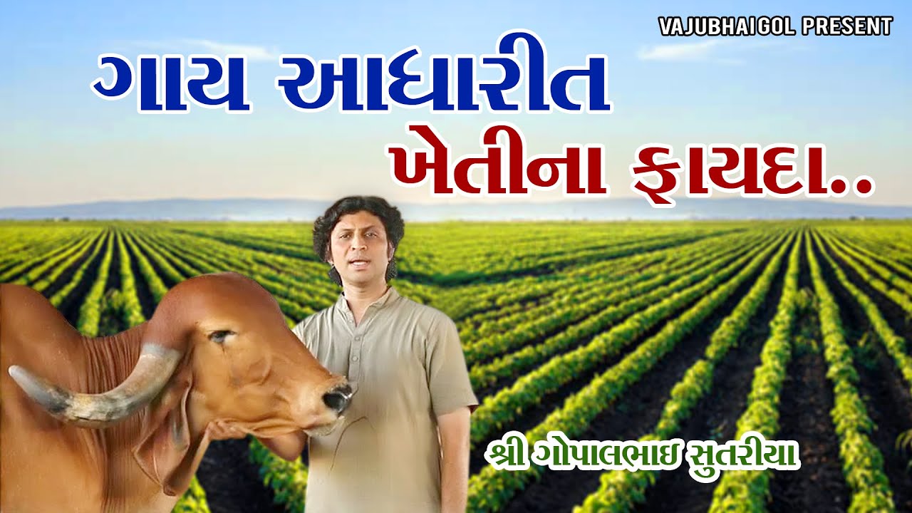 || ગાય આધારિત ખેતી ચર્ચા ||  શ્રી ગોપાલભાઈ સુતરિયા || Bansi Gir Gaushala|