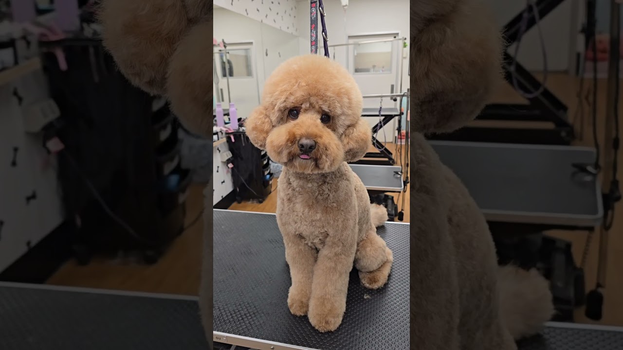 ✨️ A little transformation ✨️