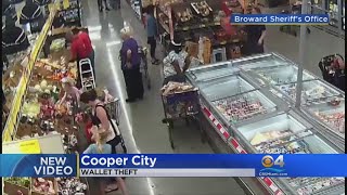 'Wallet Snatching' Caught On Surveillance Video At Aldi Store In Cooper City