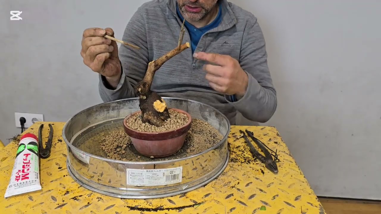 El Huerto 2...ya en el taller