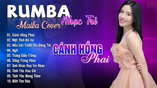 Cánh Hồng Phai, Một Thời Đã Xa Maika Cover - Tuyệt Phẩm Nhạc Trẻ Rumba 8x 9x Hot Tiktok
