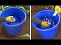 Kef Ita Bi Jahizu Baka Ta Rasha Taki Be Dawa Ta Fawligen Biopesticide 