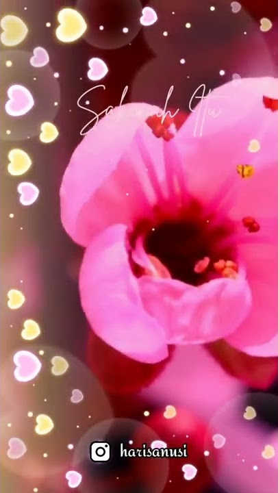 SAKINAH BERSAMAMU  #sakinahbersamamu #keluargasakinah