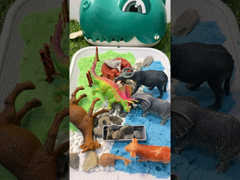 Dinosaur Toys Collection Satisfying Unboxing ASMR Video Review T Rex Asmr Toys Jurassicworld