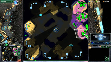 Episode 6: Zerg Sim City