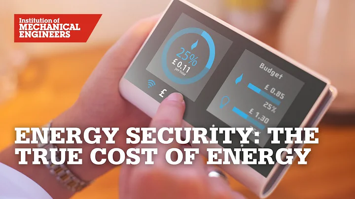 Energy Security: The True Cost of Energy