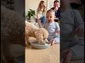 自分のミルクと勘違いをして犬に怒る赤ちゃん👶🐩🤣#dog #baby #cute #funny #shorts #shortvideo #赤ちゃん #トイプードル