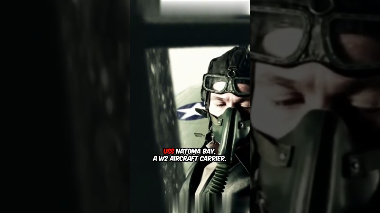 James Leininger Past Life Mystery