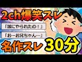 【2ch面白いスレ】笑ったら寝ろ！2ch爆笑スレ！名作スレ30分！【作業用BGM】【ゆっくり解説】