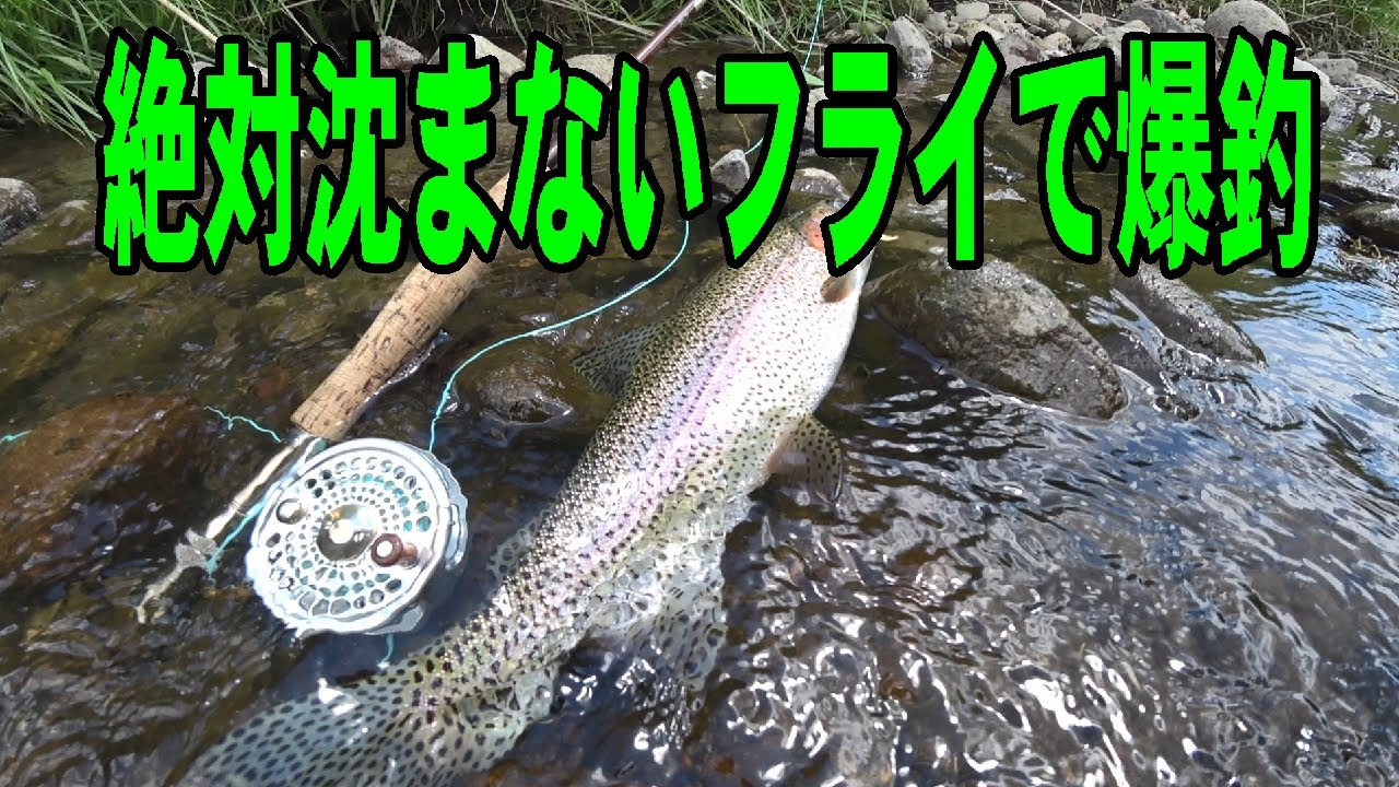 2024.6.1 何とドライシェイク不要！ 絶対沈まないドライフライでリズム