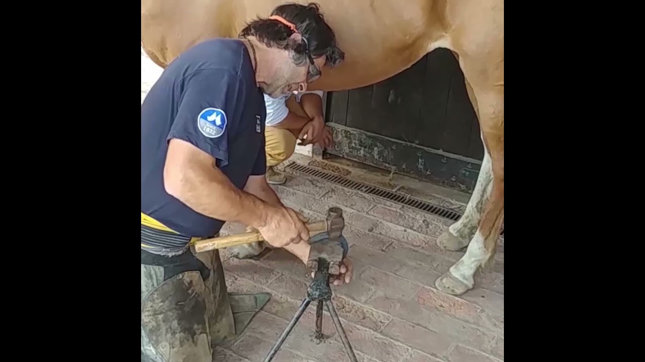 APRENDIENDO A MOLDEAR LAS HERRADURAS