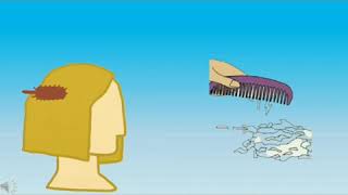 IPA grade 4, How does a plastic comb attract paper?