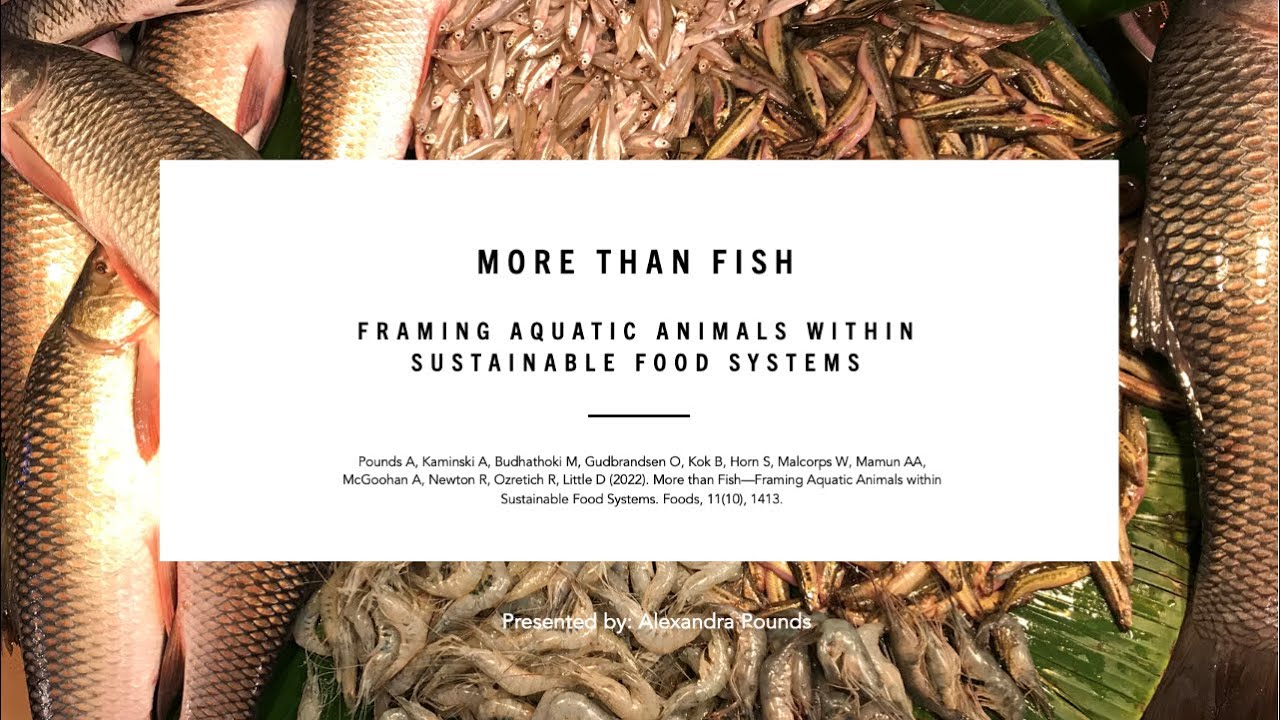 More Than Fish - Framing Aquatic Animals within Sustainable Food Systems
