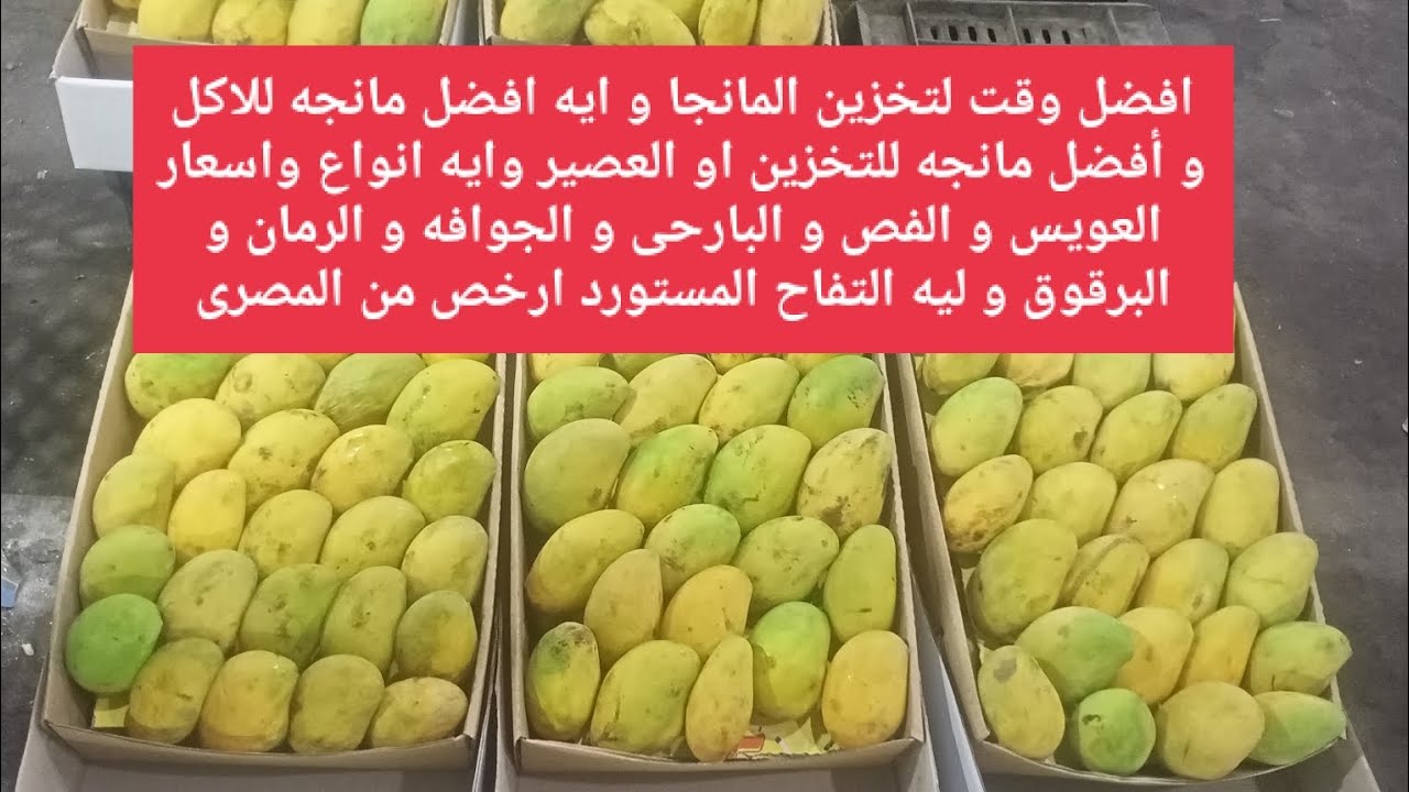 افضل وقت لتخزين المانجا و ايه افضل مانجه للاكل او للتخزين او العصير ...