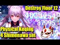 Physical Keqing with 4 Shimenawa Destroy Spiral Abyss Floor 12 Both Sides