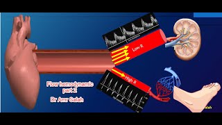 Flow hemodynamic part 2 , Doppler ultrasound course 2021 ( Dr Amr Salah)
