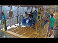 Bunjee Jumping @JumpingHeights