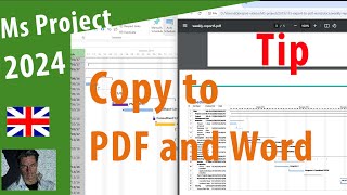 Ms Project 2024 ● Copy from MS Project to a PDF and to Word ● Tip