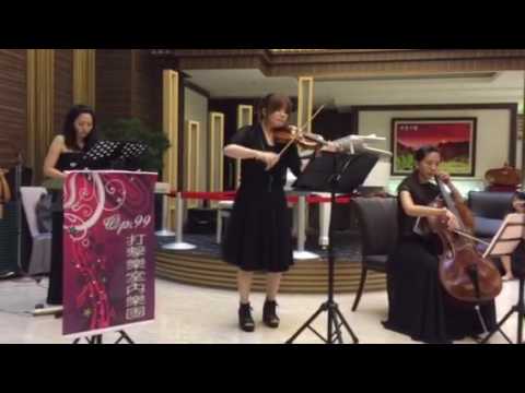我的心裡只有你沒有他/Op.99室內樂團
