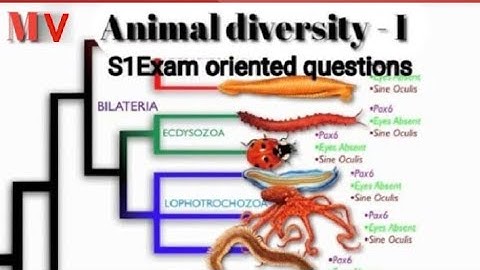 | Ku BSc Botany - Complementary Zoology  S1 Exam oriented questions | Module - V |