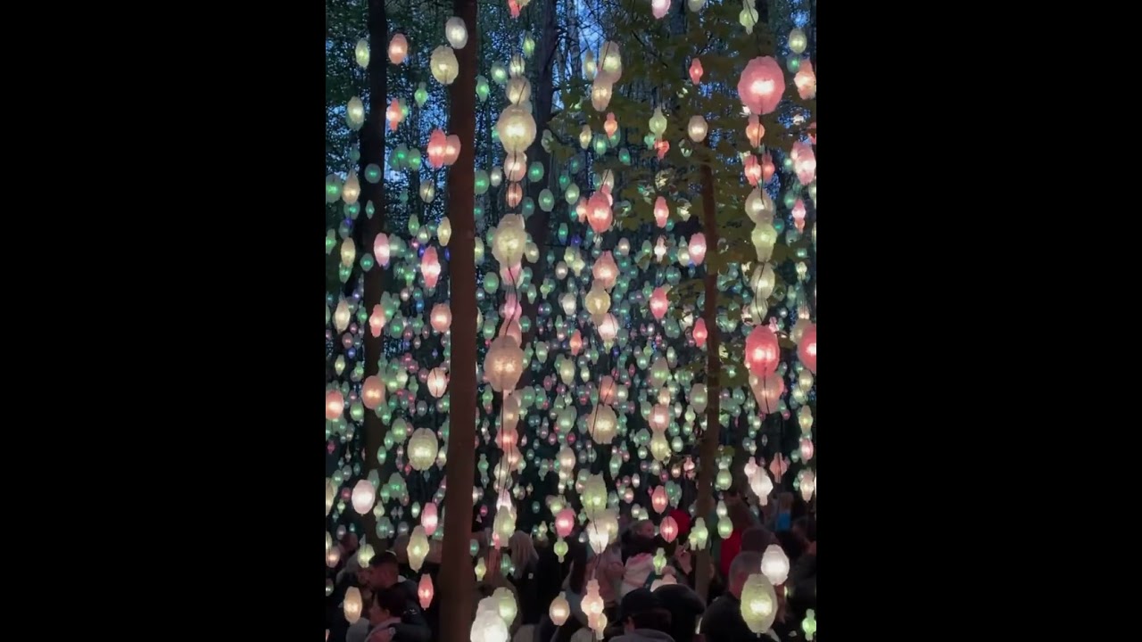 Ekeberg parken is amazing🤩 