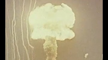 Shallows - So Nice (Music Video) | Time Is Fleeting