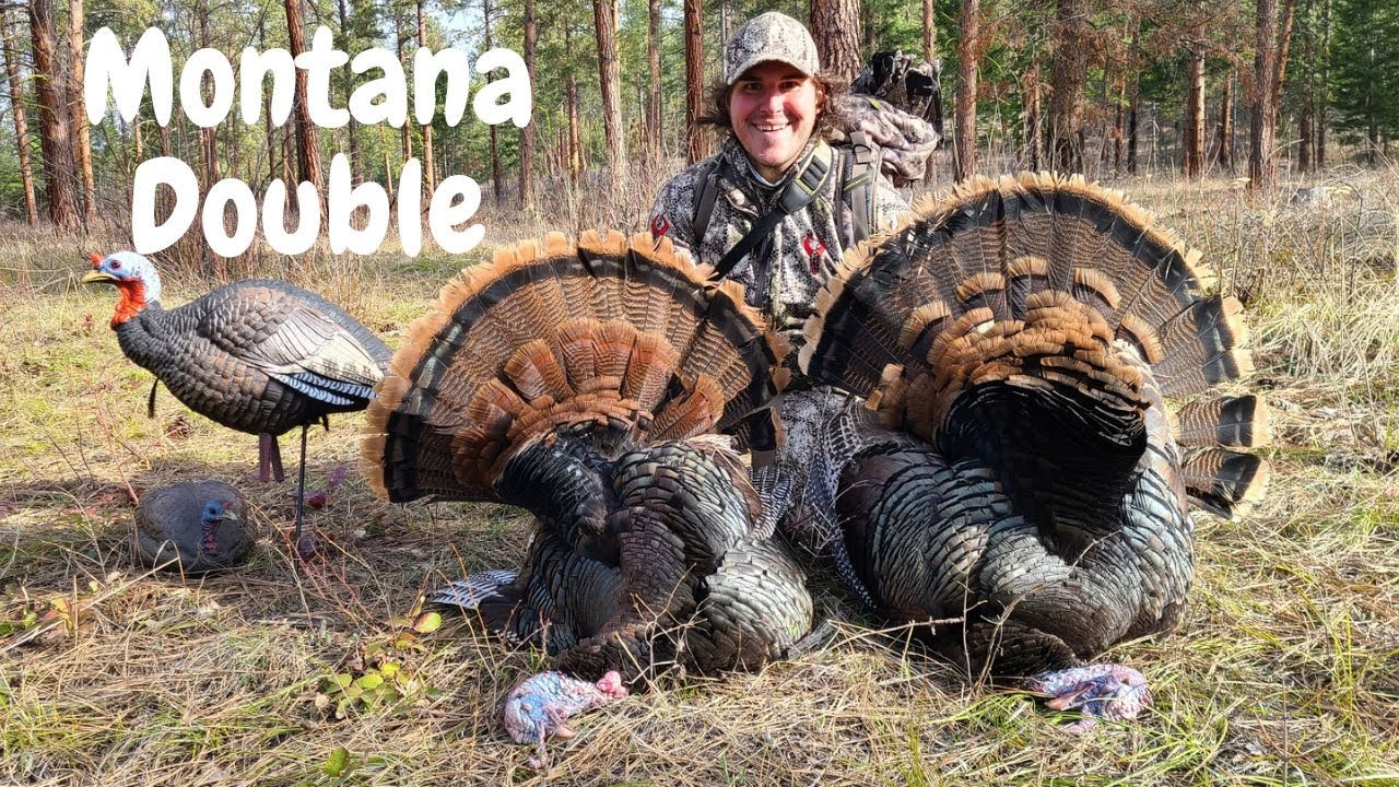 Montana Turkey Season 2023 Double YouTube