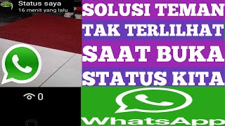 how to know people see our wa status but not visible