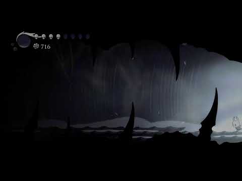 Hollow Knight