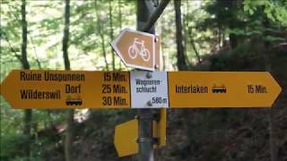Wilderswil to Interlaken, Switzerland