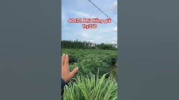 Đá bạc huyện châu Đức BRVT #automobile #bbds #nhadep #bds