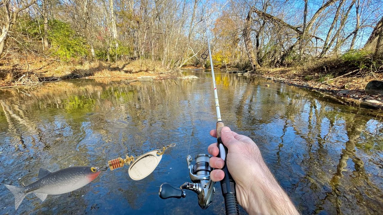 TROUT FISHING with Minnow Spinner 