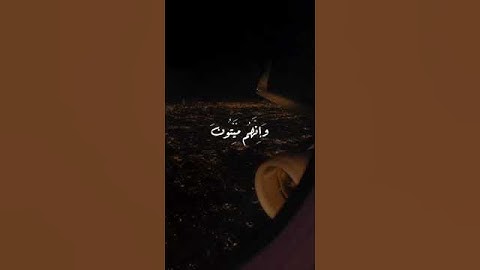 ملخص الحياه ❤️ انك ميت وانهم ميتون//ستوريات دينية//حالات واتس اب دينية //القارئ:الشيخ ماهر المعيقلي