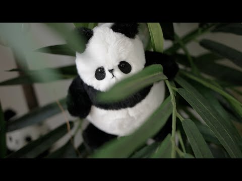 완전 귀여운 둔둔한 판다 인형 만들기 🐼 <strong>Making</strong> <strong>a</strong> cute, chubby panda <strong>doll</strong>